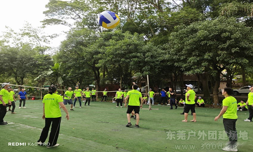 横沥解锁黄江 塘厦 常平 大朗 深圳周边团建新的森林系氧吧团建打卡地点
